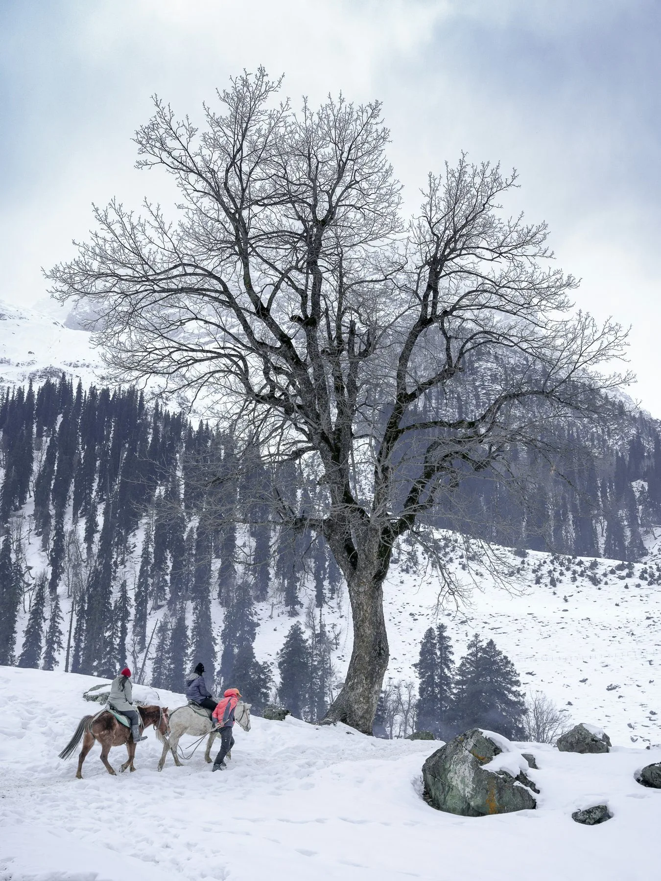 Winter